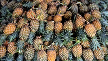 100 kilos de marijuana ont été saisis au Mexique. La drogue était cachée dans des ananas, salades et faux avocats. (Photo d'illustration)
