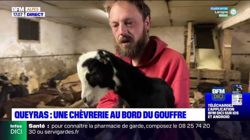 Queyras: une chèvrerie au bord du gouffre après l'agression du troupeau