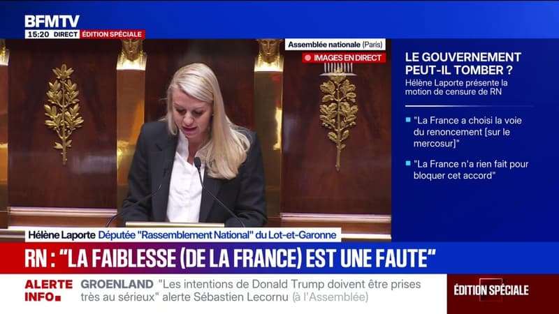 Hélène Laporte (RN): "Pour nous, la dissolution n'est pas une crainte: c'est une chance"