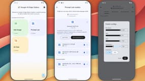L'application Google AI Edge Gallery.