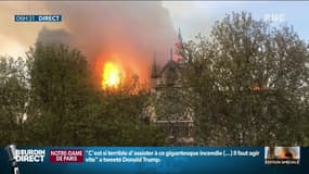 Incendie de Notre-Dame de Paris: "Tout un morceau de ma vie qui part en fumée" réagit Martine, une riveraine  