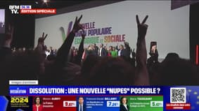 Dissolution de l'Assemblée nationale: une union de la gauche est-elle possible ?