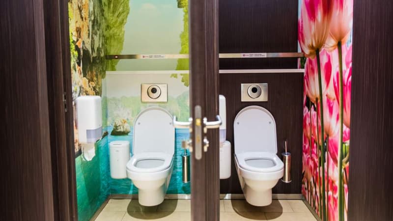 Un exemple du design des toilettes 2theloo, la société néerlandaise qui a remporté l'appel d'offres de la SNCF.