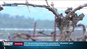 Dans le Var, le village de Correns est 100% bio depuis 1995
