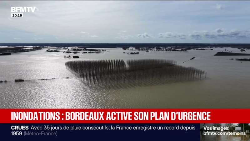 Champs submergés, habitations sous les eaux... Retour en images sur les inondations qui frappent le Sud-Ouest