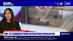 Législatives: les 57 candidats en lice dans le Var