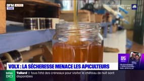 Alpes-de-Haute-Provence: la sécheresse menace les apiculteurs