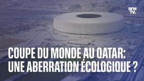 La Coupe du monde au Qatar est-elle une aberration écologique ?