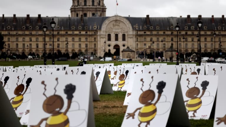 Demonstration to protest against the defeats planned for the use of neonicotinoids, September 23, 2020 in the invalids in Paris
Demonstration to protest against the defeats planned for the use of neonicotinoids, September 23, 2020 in the invalids in Paris