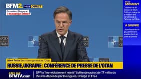 Menace russe : "L'Otan mettra en œuvre un certain nombre de mesures anti-drones" prochainement, annonce son secrétaire général