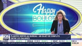 Happy Boulot : Plantes vertes au bureau, un sujet de conflits entre les salariés - 22/07