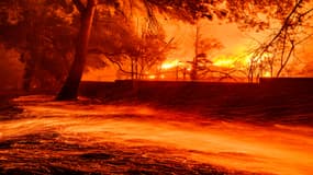 Des braises se répandent sur le sol alors que des maisons brûlent lors de l'incendie d'Eaton à Pasadena, en Californie, le 7 janvier 2025.
