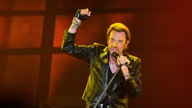 Johnny Hallyday en concert à Bordeaux en juin 2013.