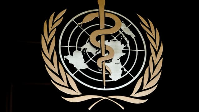 Photo prise le 24 février 2020 montrant le logo de l'Organisation mondiale de la santé (OMS) à l'entrée de son siège à Genève