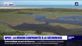 Nord-Pas-de-Calais: des restrictions à cause de la sécheresse dans la région 