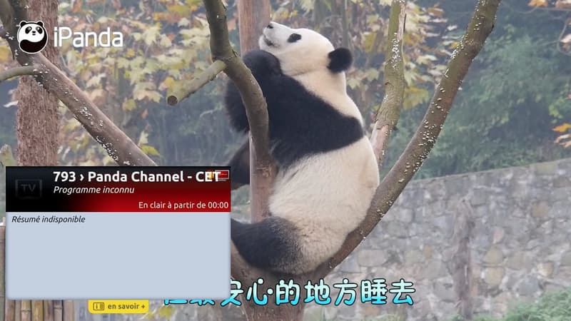 La chaîne Panda Channel débarque sur la Freebox avec un bouquet de 57 chaînes chinoises. 