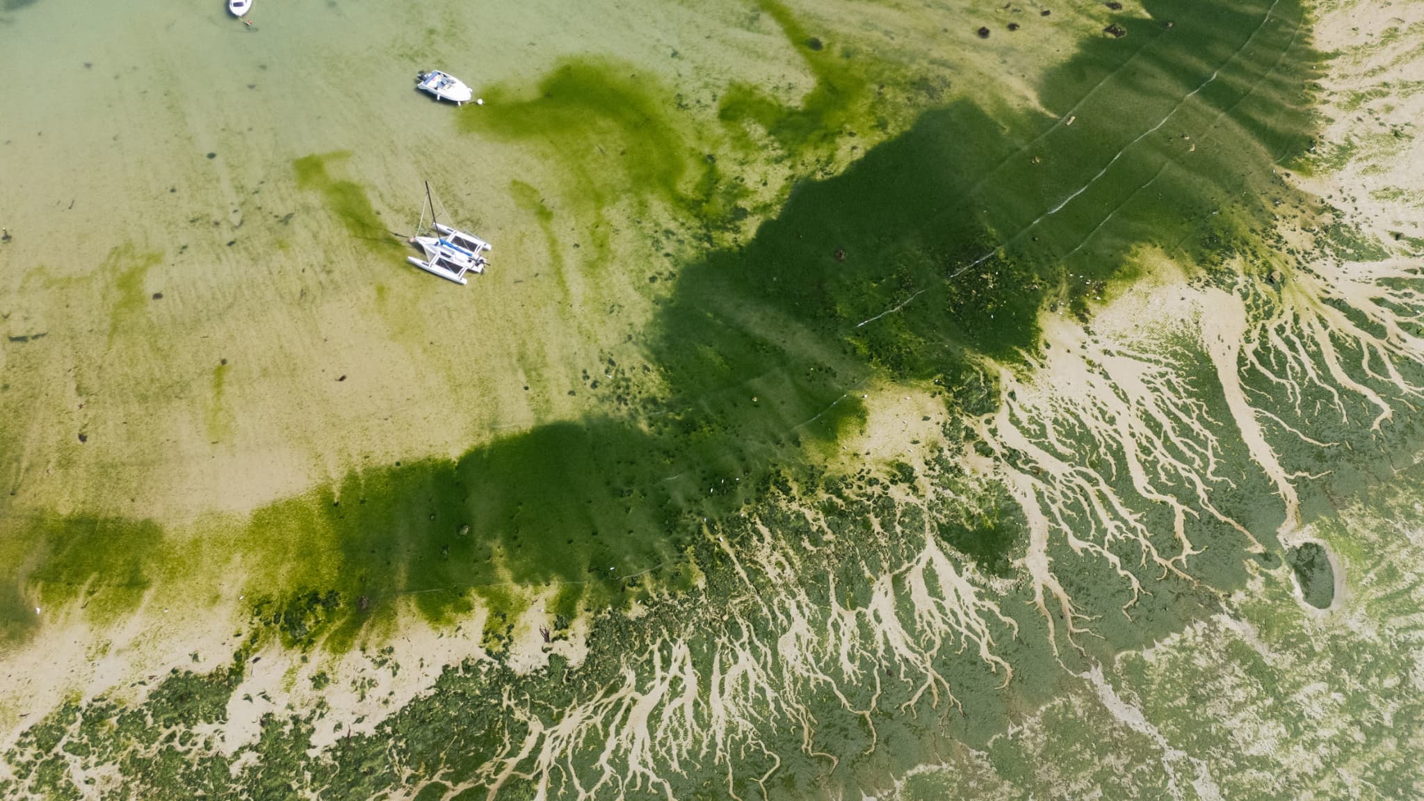 "UNE PRÉOCCUPATION DE SANTÉ PUBLIQUE": UNE ASSOCIATION BRETONNE ALERTE SUR LA POLLUTION DES PLAGES EN HIVER