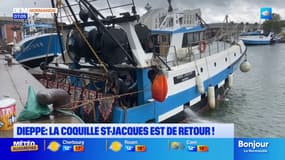 Dieppe: la pêche à la coquille Saint-Jacques est de retour 