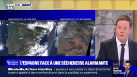 En raison de la sécheresse, l'Espagne plonge dans une catastrophe agricole