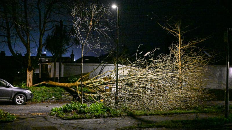 Tempête Goretti: au moins six blessés légers recensés dans toute la France, selon un bilan provisoire