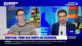 Top Sorties du vendredi 8 décembre - Bon plan : foire aux jouets au Vaudreuil