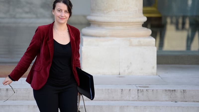 Cécile Duflot le 23 octobre 2013 à la sortie du Conseil des ministres.