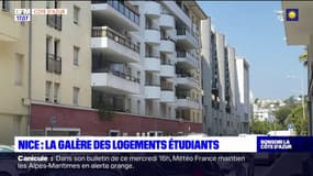 Nice: la galère des logements étudiants