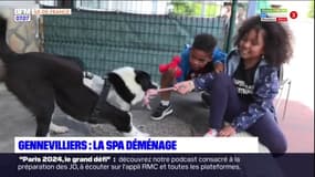 Gennevilliers: la SPA déménage, le nouveau lieu devrait ouvrir au second semestre 2024