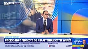 Croissance modeste du PIB attendue cette année