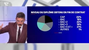 Apprentissage : la France devant l'Allemagne - 03/02