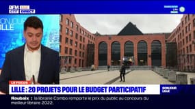 Lille: 20 projets lauréats pour le budget participatif