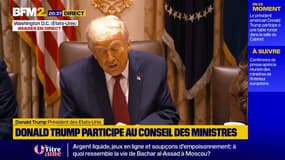 "12 milliards de dollars" : Donald Trump annonce un plan d'aide aux agriculteurs américains