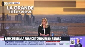 Veolia, une entreprise internationale 
