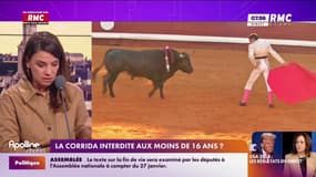 La corrida interdite aux moins de 16 ans? 