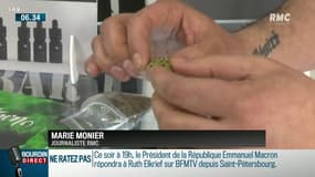 Cannabis thérapeutique: une dizaine de pays européens ont déjà franchi le cap