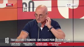 Travailleurs étrangers : "L'immigration peut être un plus sur le plan économique", juge Jérôme Marty