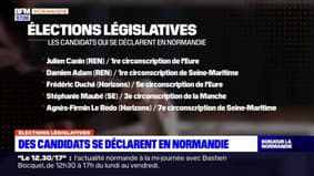 ﻿Élections législatives: des candidats se déclarent en Normandie
