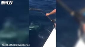Van Persie pêche un requin pendant ses vacances