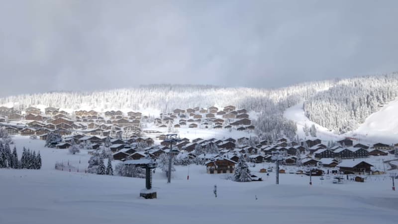 Alpes, Jura, Pyrénées... Les massifs français recouverts d'un manteau blanc après d'importantes chutes de neige