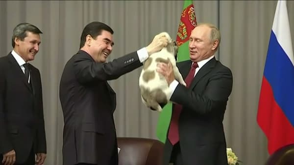 Le dirigeant turkmène, Vladimir Poutine et le chien offert en 2017. Le dirigeant turkmène, Vladimir Poutine et le chien offert en 2017.