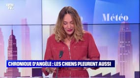 Le choix d’Angèle : Les chiens pleurent aussi - 24/08