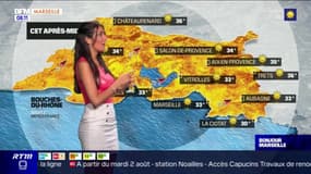 Météo Bouches-du-Rhône: un vendredi ensoleillé, jusqu'à 36°C à Trets