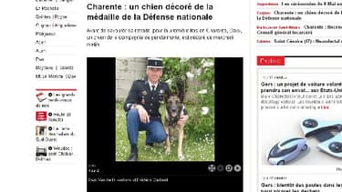 Daxx Van de Duvertorre et son maître-chien Frédéric Gaillard