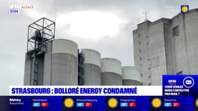 Strasbourg: Bolloré Energy condamné pour manquement à la sécurité sur un site Seveso