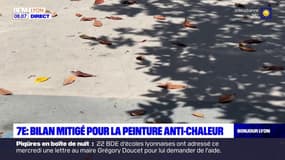 Lyon: bilan mitigé pour la peinture anti-chaleur