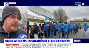 Bas-Rhin: les salariés de Flabeg en grève ce lundi à Sarewerden