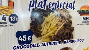 Crocodile, autruche, kangourou : on a testé des viandes insolites 