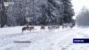 Voyons Voir : la Grande Odyssée Savoie Mont Blanc