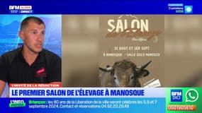 "Une grande fête agricole": le premier salon de l'élevage arrive à Manosque