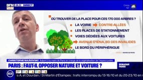 Paris: l'adjoint Christophe Najdovski souhaite "mettre des arbres à la place des voitures"